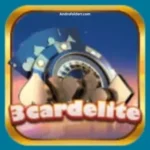 3Card Delite Game APK